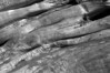 Beach wood on the Washington coast.